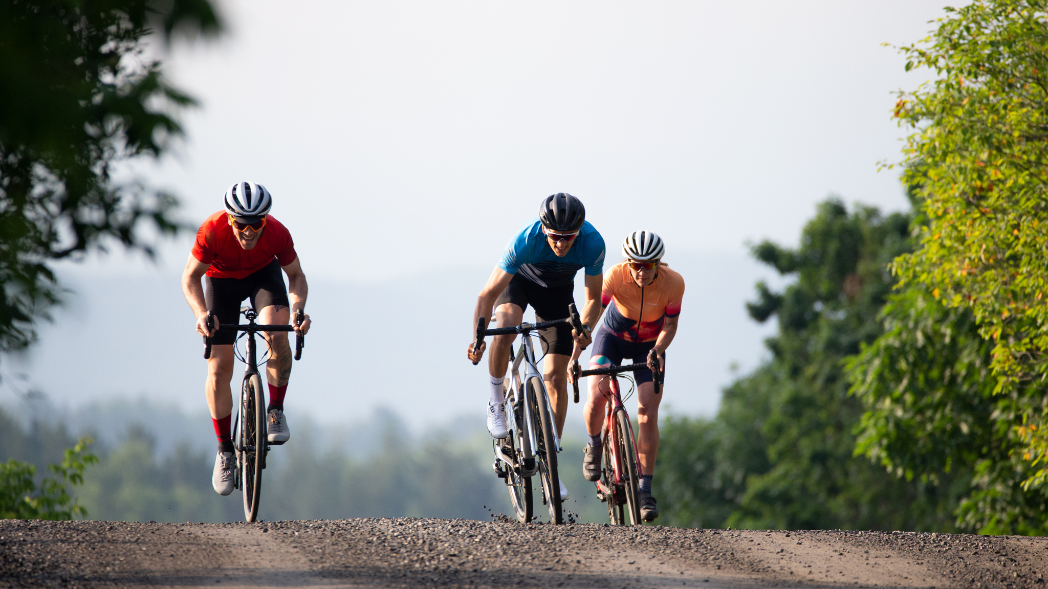 devinci bike dealers