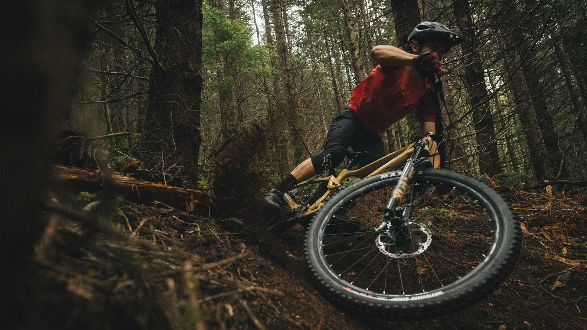 buy devinci bikes online