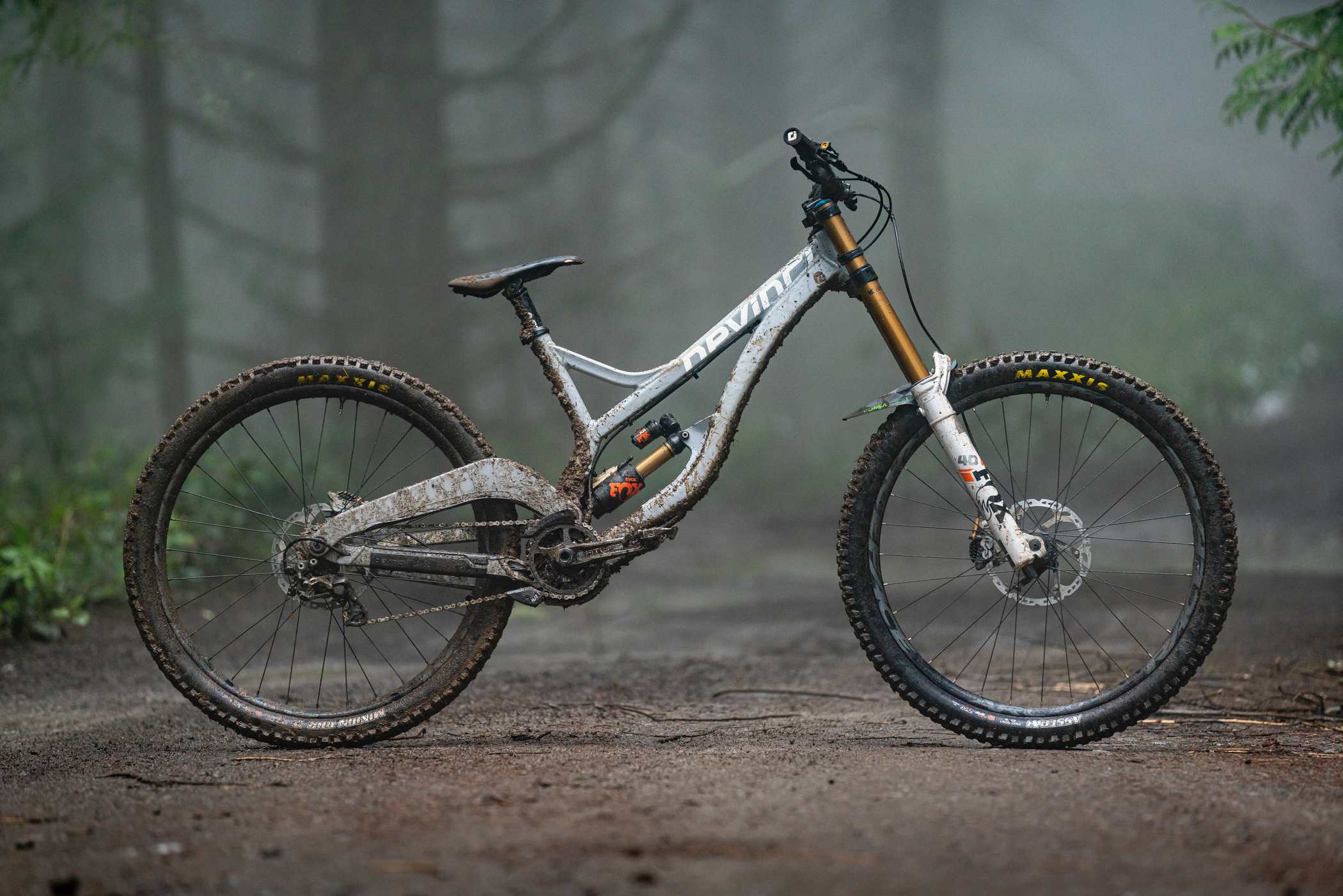 Devinci Wilson beauty shot