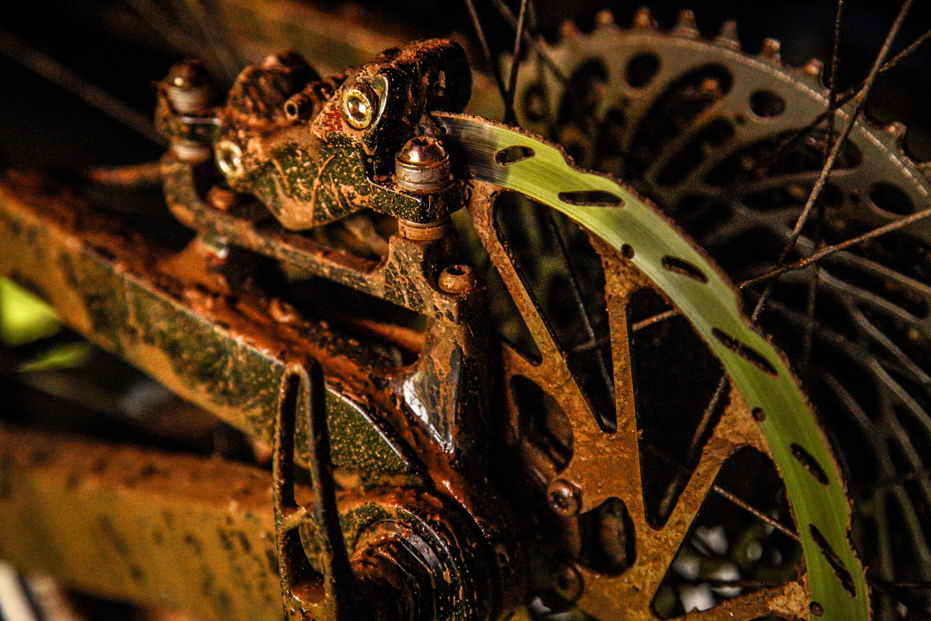 Dirty rear triangle and casette