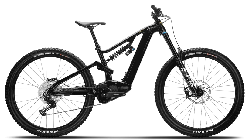 Popular Ebike Model