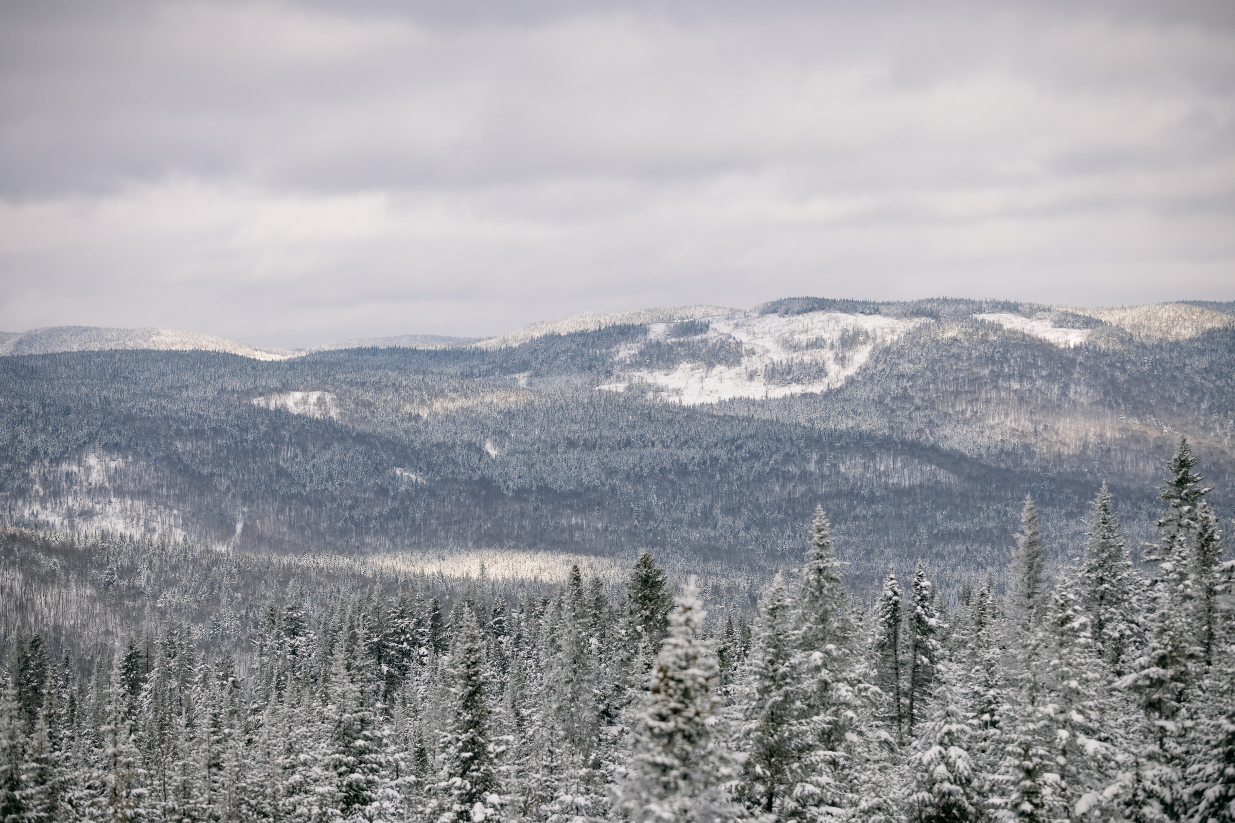 Sentiers du Moulin View Devinci Minus Fat Tire Bike Panorama