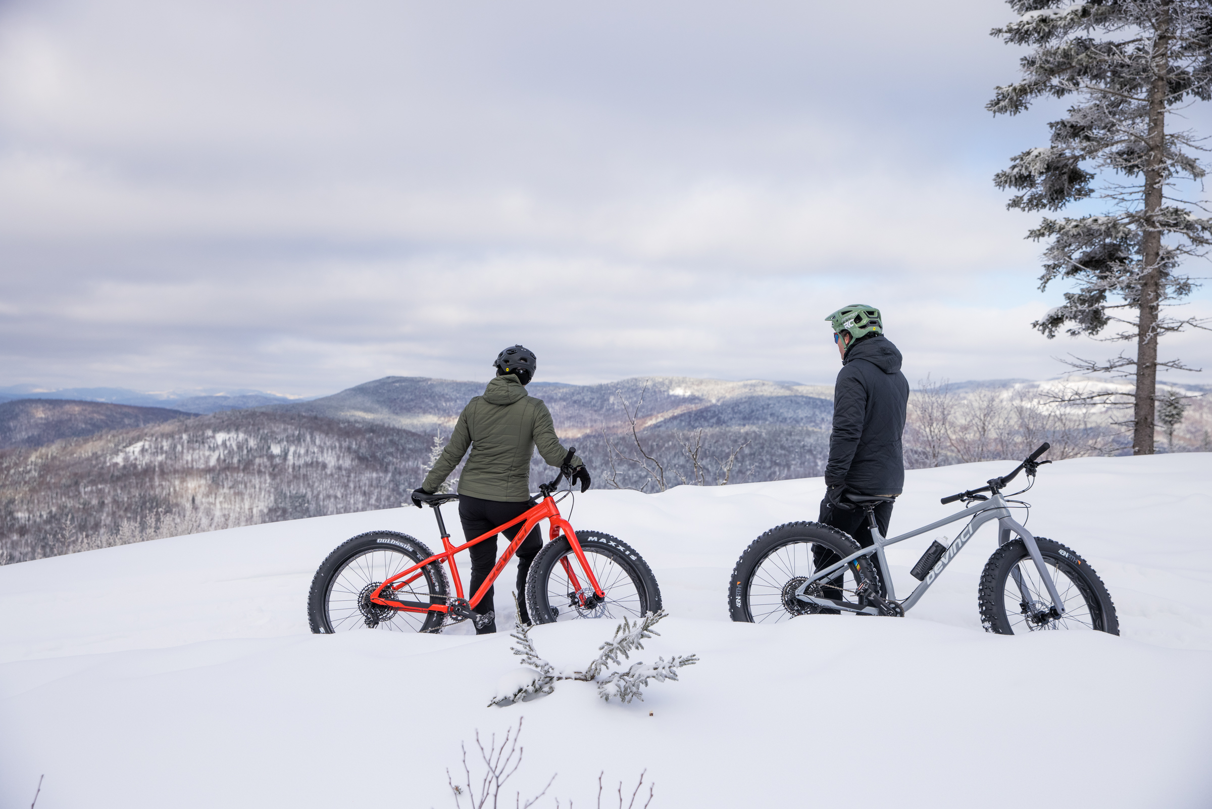 Devinci Minus Fat Tire Bike Panorama Mountains