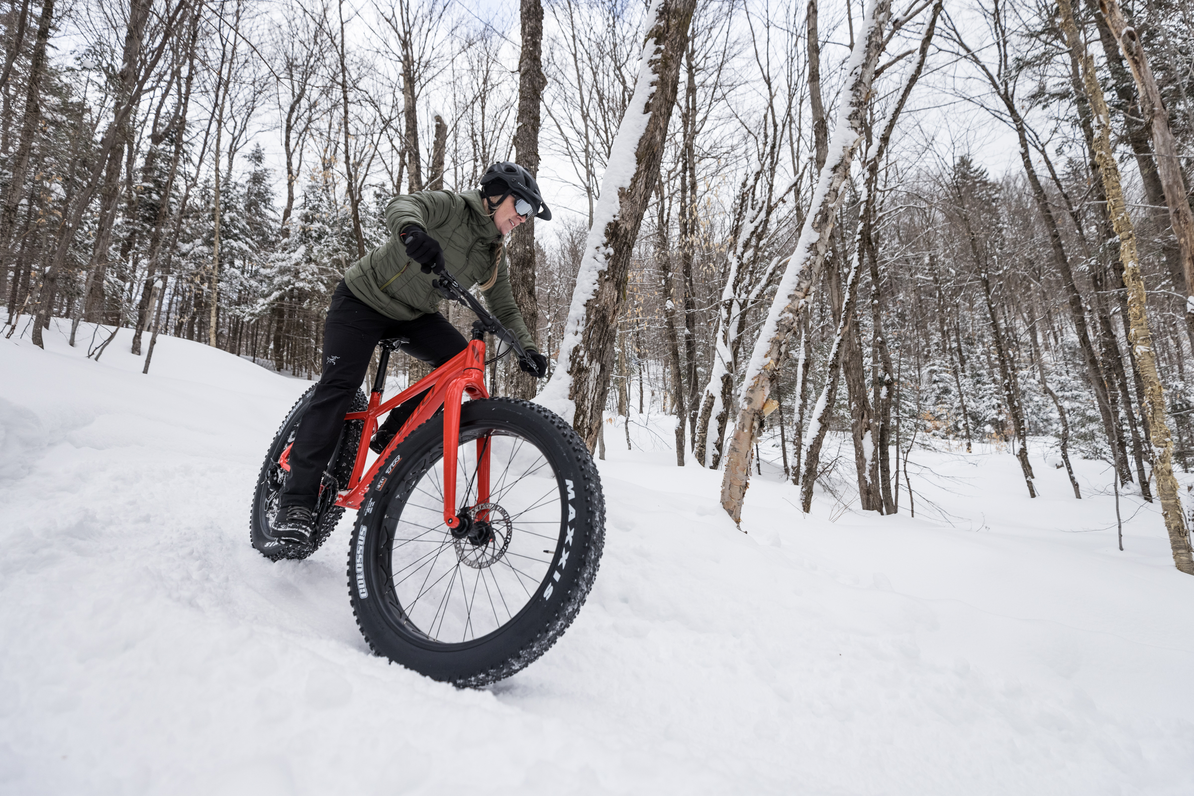 Devinci Minus Fat Tire Bike In the Forest
