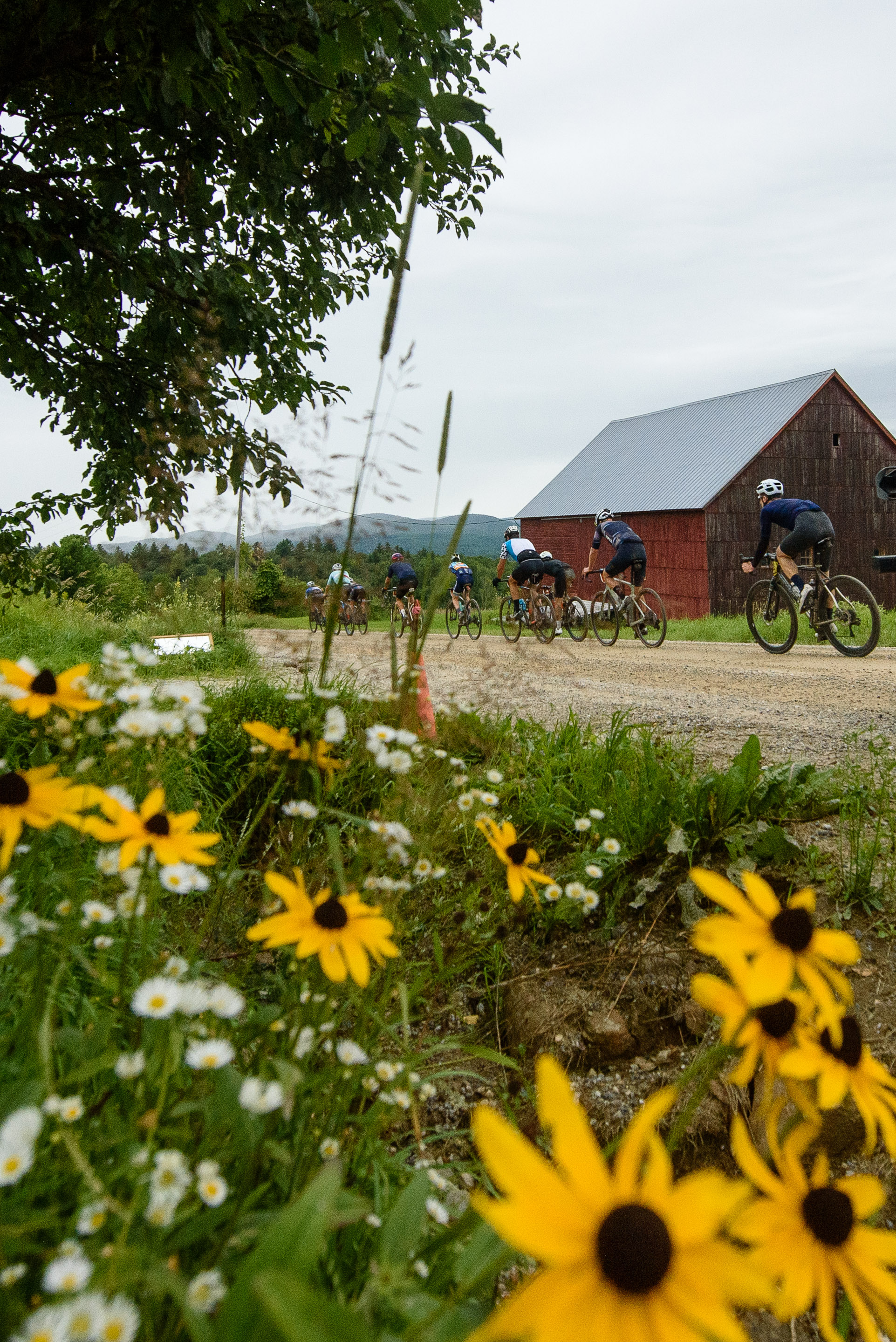 Racing the Devinci Hatchet in a field