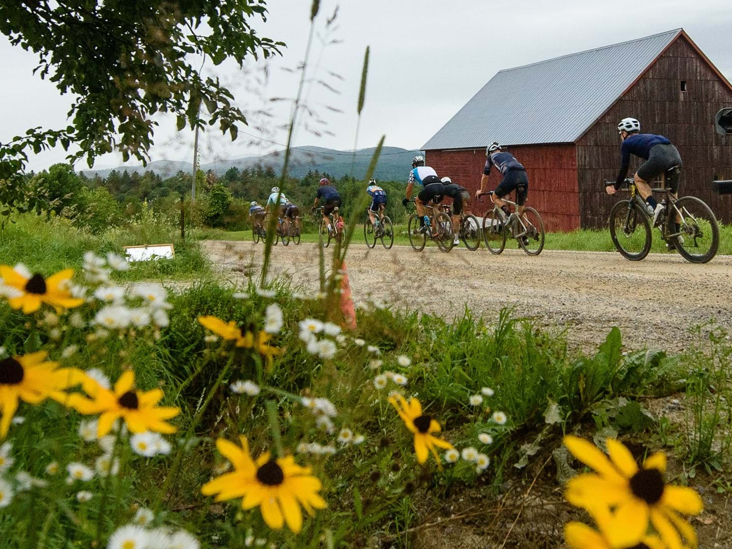 Racing the Devinci Hatchet in a field